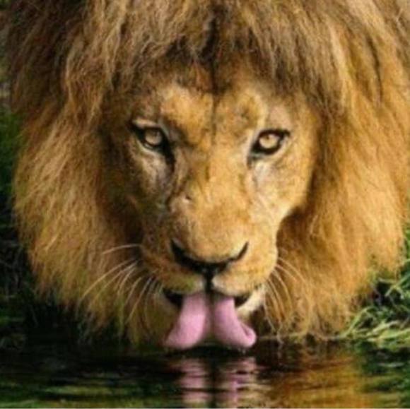 Meet your Posher, Hellkyatt - Picture 1 of 1